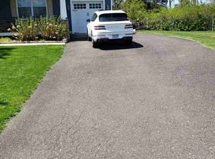 Sonja M.'s turf care service result