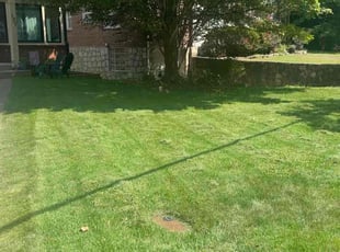 Joe M.'s turf maintenance service result