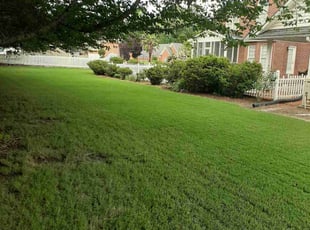 Howard E.'s lawn care services service result