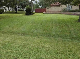 Jackson V.'s turf care service result