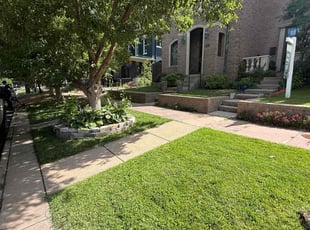 Dannisha D.'s grass maintenance service result