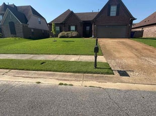 Deborah D.'s turf care service result