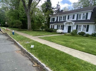 Kyna B.'s turf maintenance service result