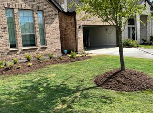Anita B.'s Mulching service result