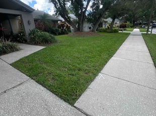 Eric B.'s residential landscaping service result