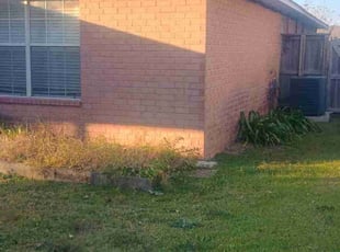 Timothy, M.'s Bush Trimming service result