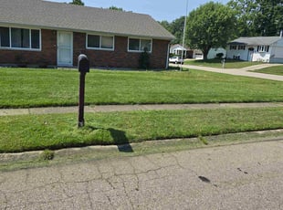 Brad J.'s turf care service result