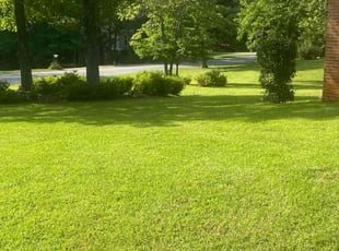 Michelle M.'s turf maintenance service result