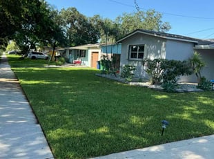 Riel S.'s grass cutting service result