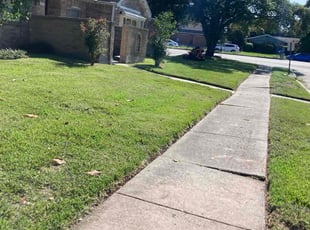 Jason O.'s lawn care service result