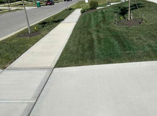 Andrea S.'s lawn service service result