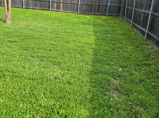 Yash P.'s lawn service service result