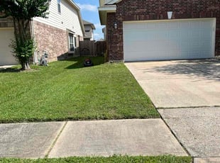 Cheryl C.'s lawn care service result