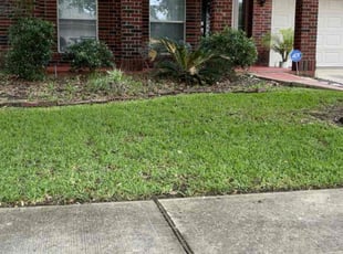 Laurie A.'s lawn maintenance service result