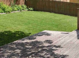 Sarah R.'s turf care service result