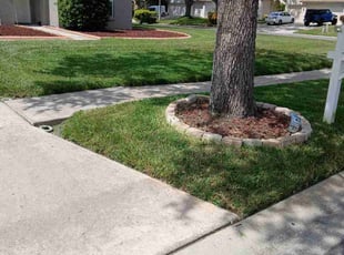 Cathy H.'s lawn maintenance service result