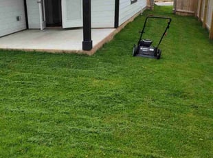 Henrietta L.'s grass maintenance service result