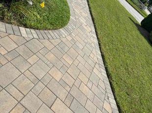 Sean T.'s lawn care services service result