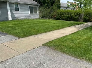 Malika B.'s lawn care service result