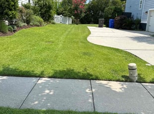 Raina R.'s lawn maintenance service result