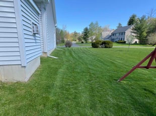Beth T.'s lawn service service result