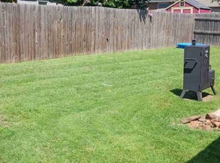 Lucy B.'s lawn service service result