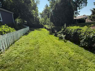 Agnes F.'s lawn care service result