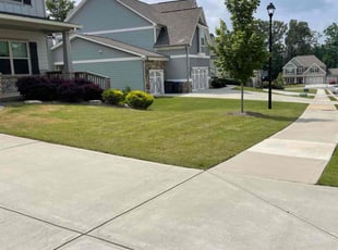 Jennifer N.'s grass maintenance service result