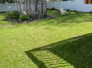 Genae H.'s lawn service service result