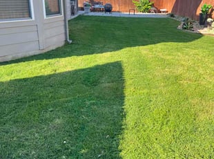 Jasmine M.'s turf care service result