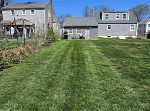 Valerie T.'s turf maintenance service result