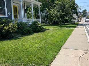 Stephanie H.'s turf care service result