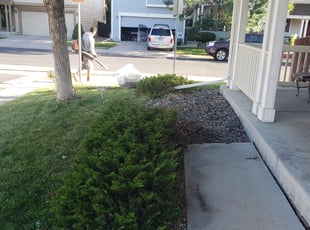 Nigel K.'s Bush Trimming service result