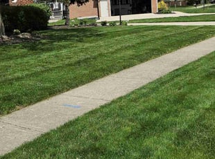Chris S.'s grass cutting service result