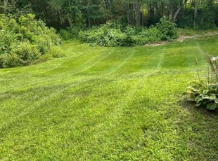 Marjorie S.'s turf care service result