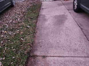 Carol K.'s Leaf Removal service result
