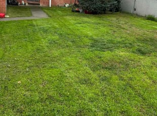 Robert B.'s lawn service service result