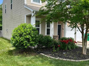 Isabel A.'s Bush Trimming service result