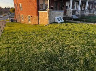 Laura G.'s lawn care service result