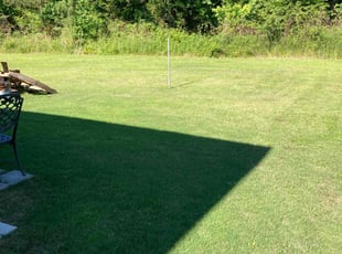 Kathleen T.'s lawn maintenance service result