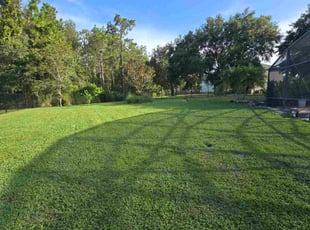 Kyle M.'s turf maintenance service result