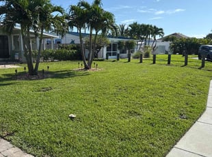 Jeffrey W.'s lawn service service result