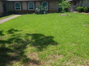 Edward W.'s lawn care service result