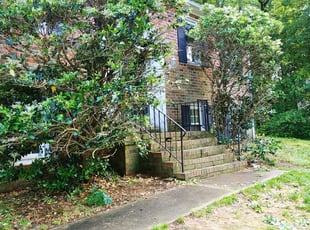 Donna V.'s Bush Trimming service result