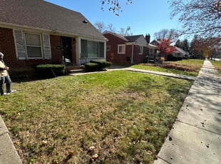 Daniel C.'s Leaf Removal service result