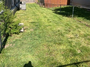 Kerry S.'s lawn service service result