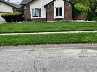 Sonia G.'s lawn maintenance service result
