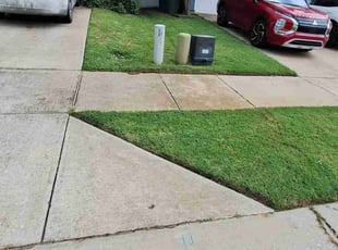 Maria F.'s grass maintenance service result