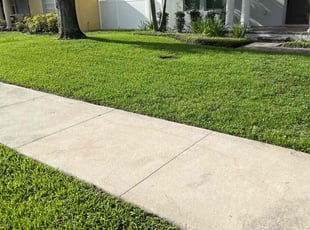 Licia R.'s turf maintenance service result
