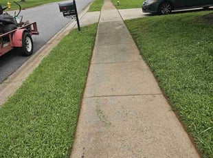 Christopher S.'s grass maintenance service result